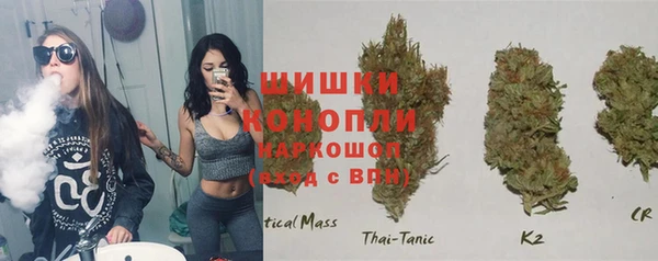 spice Богданович