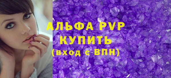 spice Богданович