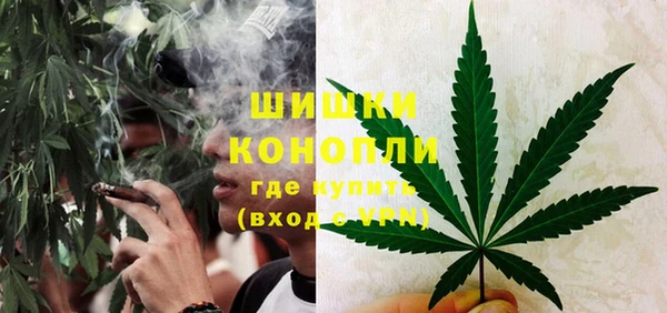 spice Богданович
