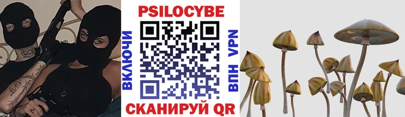 Псилоцибиновые грибы Cubensis  дарк нет состав  Тбилисская 